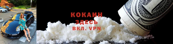 твердый Краснослободск