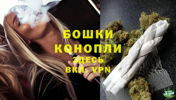 твердый Краснослободск