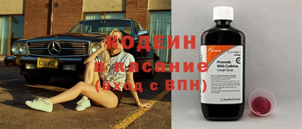 твердый Краснослободск