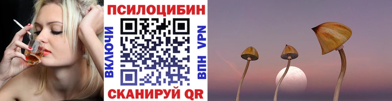 кракен ссылки  где продают   Чухлома  Псилоцибиновые грибы Cubensis 